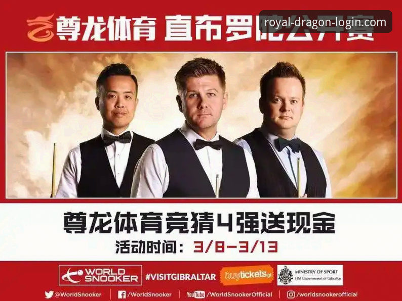 尊龙官网平台高效使用实用指南：从注册到提现的必备知识